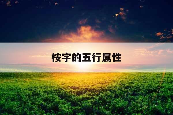 桉字的五行属性
