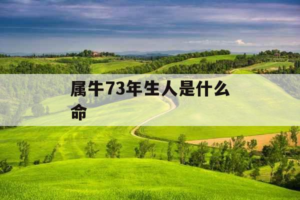 属牛73年生人是什么命