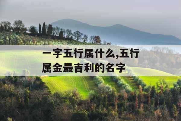 一字五行属什么,五行属金最吉利的名字