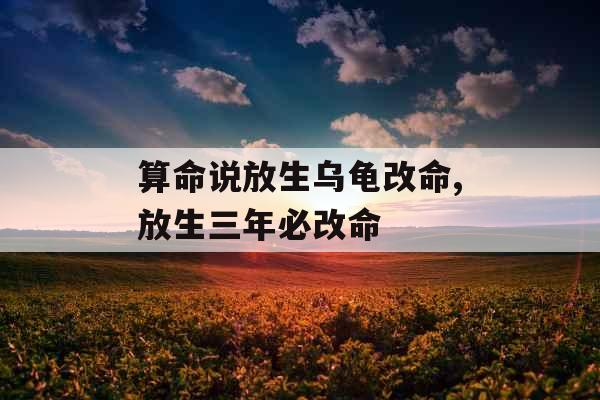 算命说放生乌龟改命,放生三年必改命