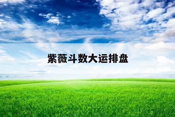 紫薇斗数大运排盘
