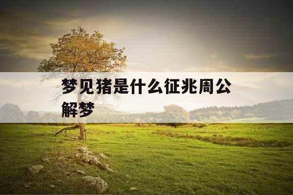 梦见猪是什么征兆周公解梦 梦见猪是什么征兆周公解梦