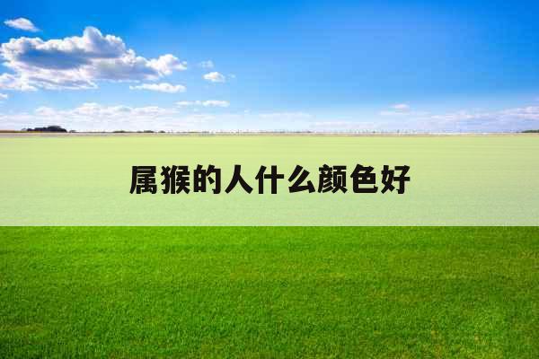 属猴的人什么颜色好