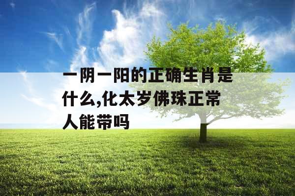 一阴一阳的正确生肖是什么,化太岁佛珠正常人能带吗
