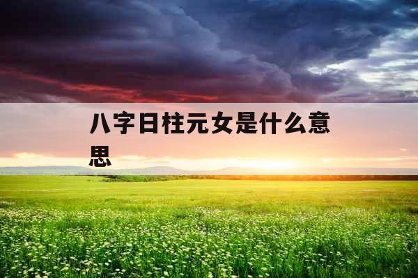 八字日柱元女是什么意思
