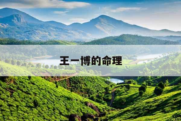 王一博的命理