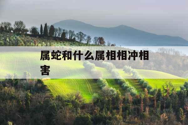 属蛇和什么属相相冲相害