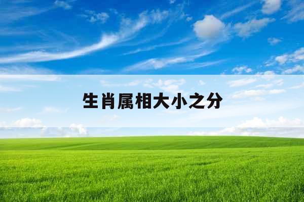 生肖属相大小之分
