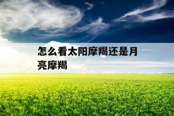 怎么看太阳摩羯还是月亮摩羯