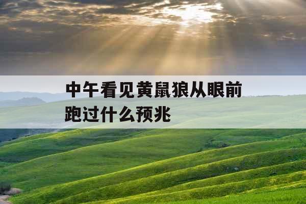 中午看见黄鼠狼从眼前跑过什么预兆 中午看见黄鼠狼从眼前跑过什么预兆