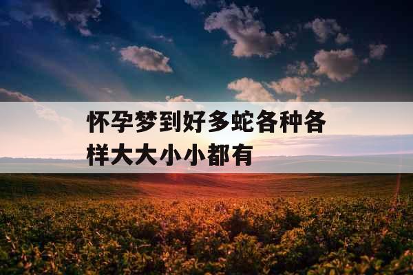 怀孕梦到好多蛇各种各样大大小小都有