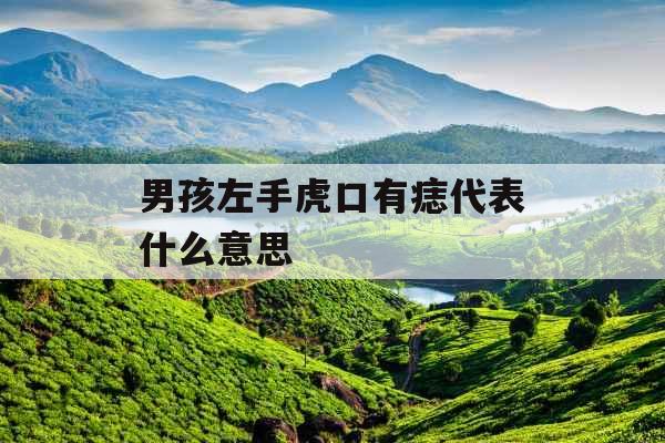 男孩左手虎口有痣代表什么意思