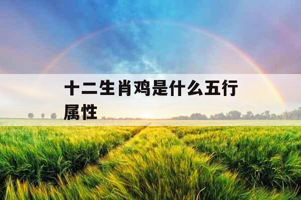 十二生肖鸡是什么五行属性