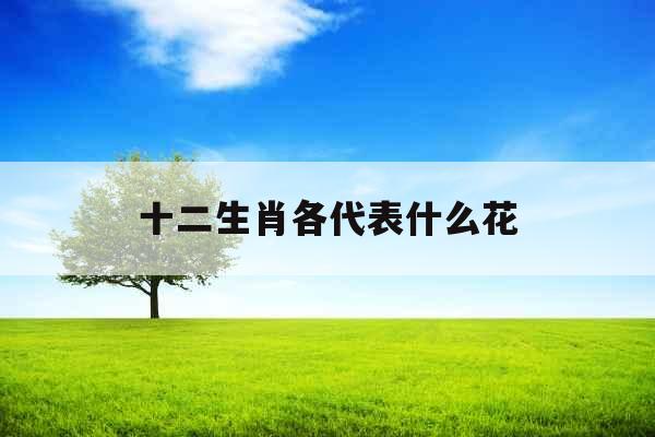 十二生肖各代表什么花