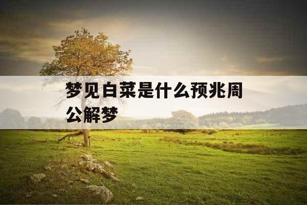 梦见白菜是什么预兆周公解梦