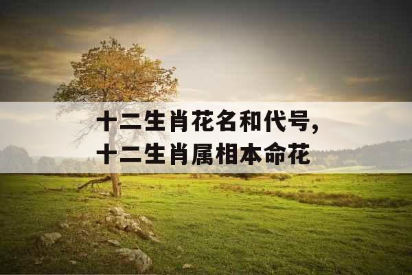 十二生肖花名和代号,十二生肖属相本命花 十二生肖花名和代号,十二生肖属相本命花