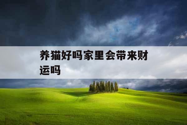 养猫好吗家里会带来财运吗