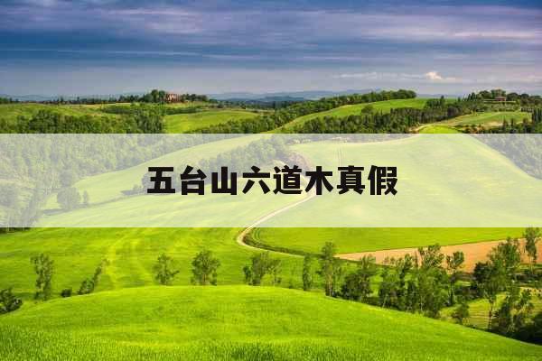 五台山六道木真假