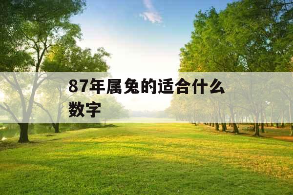87年属兔的适合什么数字 87年属兔的适合什么数字