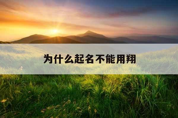 为什么起名不能用翔