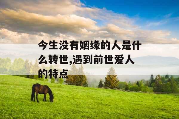 今生没有姻缘的人是什么转世,遇到前世爱人的特点