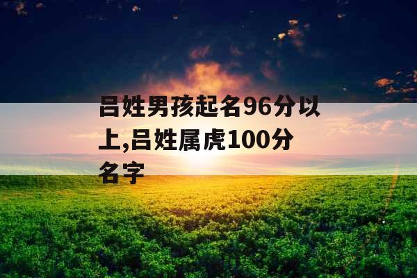 吕姓男孩起名96分以上,吕姓属虎100分名字