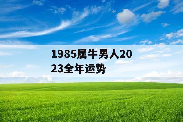 1985属牛男人2023全年运势