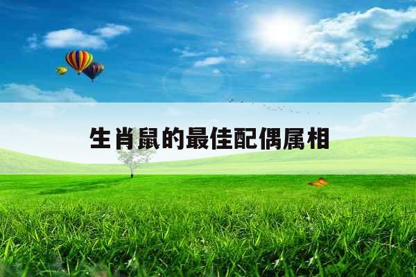 生肖鼠的最佳配偶属相 生肖鼠的最佳配偶属相