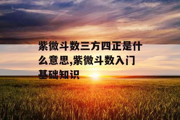 紫微斗数三方四正是什么意思,紫微斗数入门基础知识