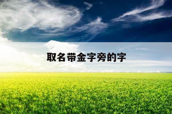 取名带金字旁的字