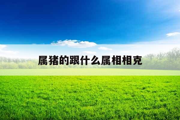 属猪的跟什么属相相克