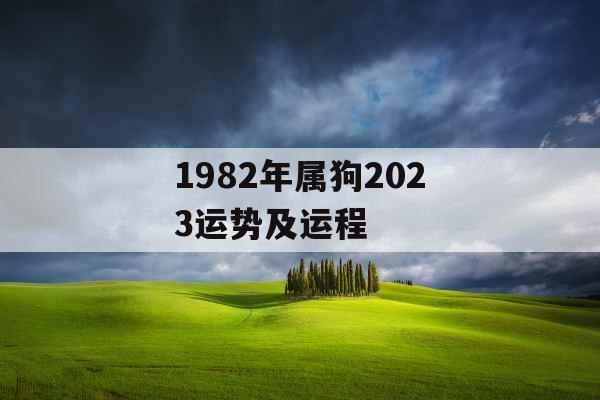 1982年属狗2023运势及运程