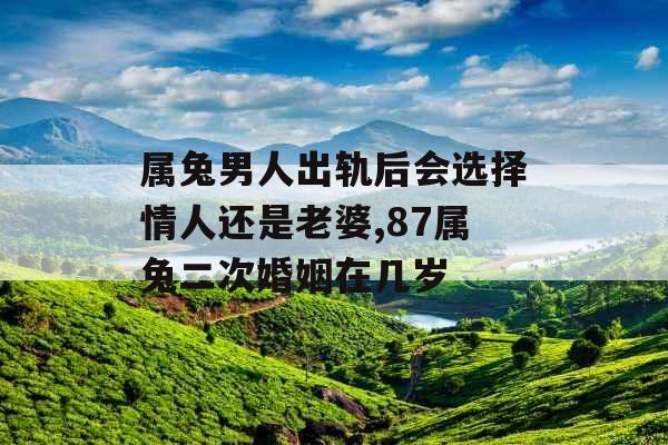 属兔男人出轨后会选择情人还是老婆,87属兔二次婚姻在几岁 属兔男人出轨后会选择情人还是老婆,87属兔二次婚姻在几岁