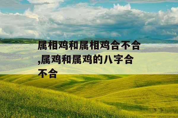 属相鸡和属相鸡合不合,属鸡和属鸡的八字合不合