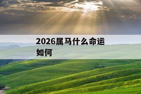 2026属马什么命运如何