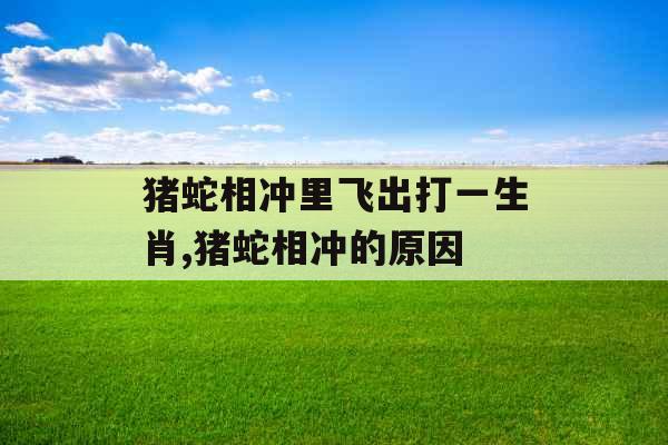 猪蛇相冲里飞出打一生肖,猪蛇相冲的原因