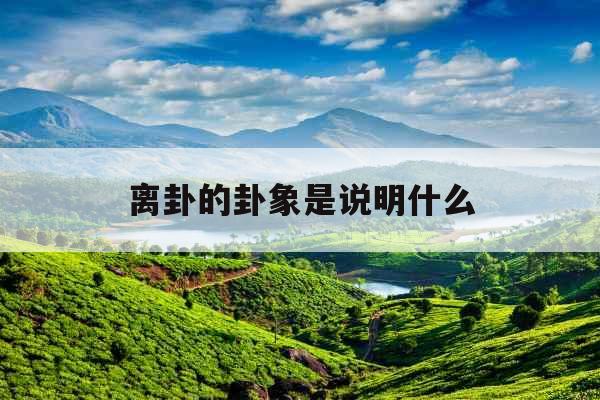 离卦的卦象是说明什么