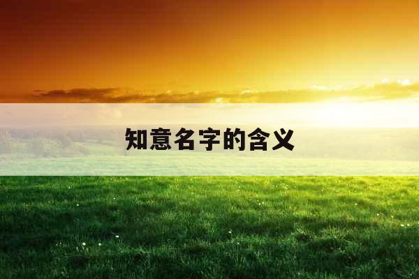 知意名字的含义