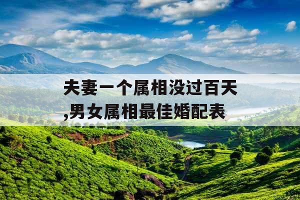 夫妻一个属相没过百天,男女属相最佳婚配表