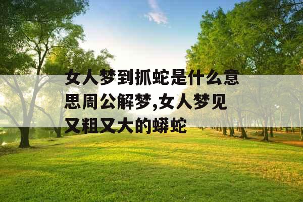 女人梦到抓蛇是什么意思周公解梦,女人梦见又粗又大的蟒蛇 女人梦到抓蛇是什么意思周公解梦,女人梦见又粗又大的蟒蛇