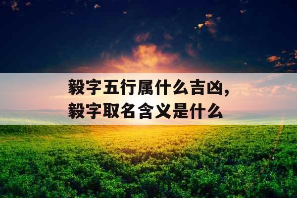 毅字五行属什么吉凶,毅字取名含义是什么