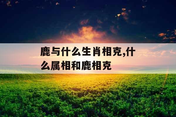 鹿与什么生肖相克,什么属相和鹿相克