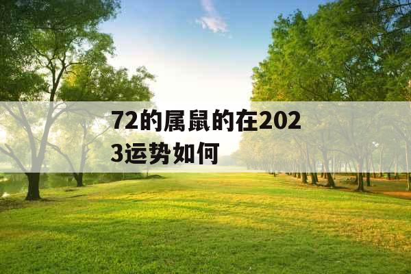 72的属鼠的在2023运势如何
