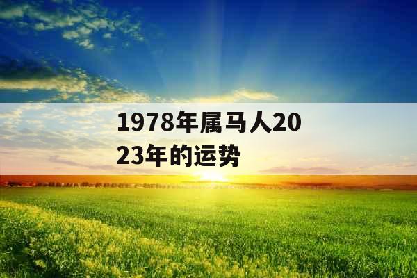 1978年属马人2023年的运势