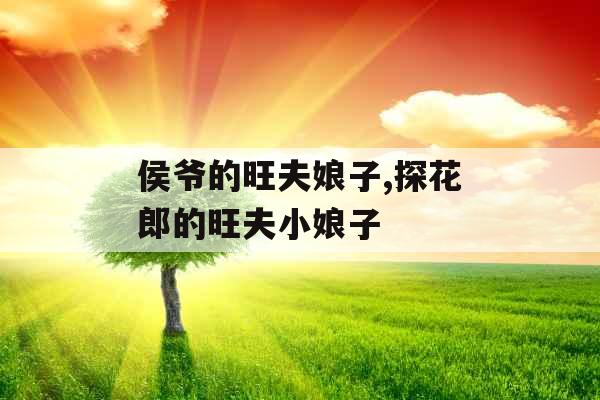 侯爷的旺夫娘子,探花郎的旺夫小娘子