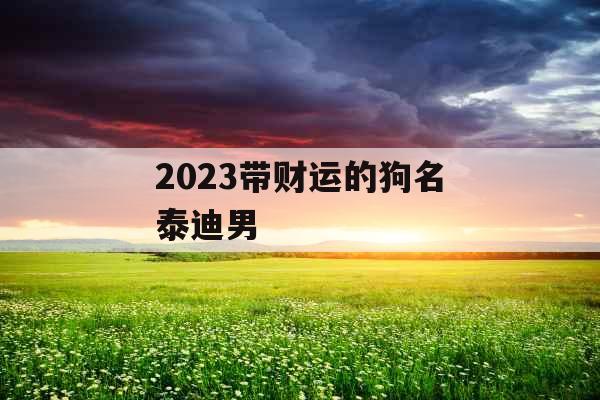 2023带财运的狗名泰迪男