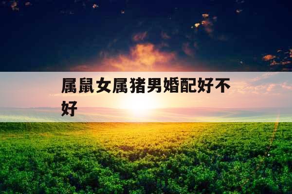 属鼠女属猪男婚配好不好