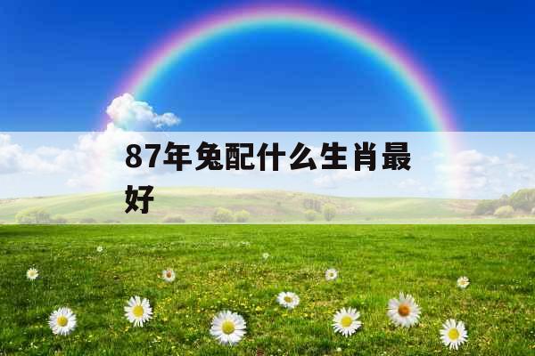 87年兔配什么生肖最好