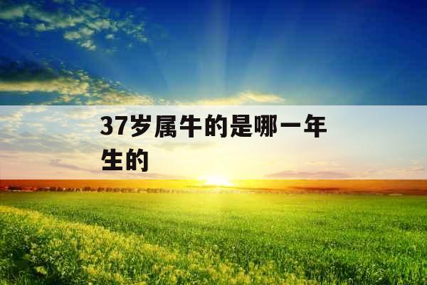 37岁属牛的是哪一年生的