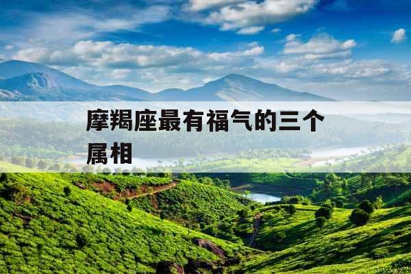 摩羯座最有福气的三个属相
